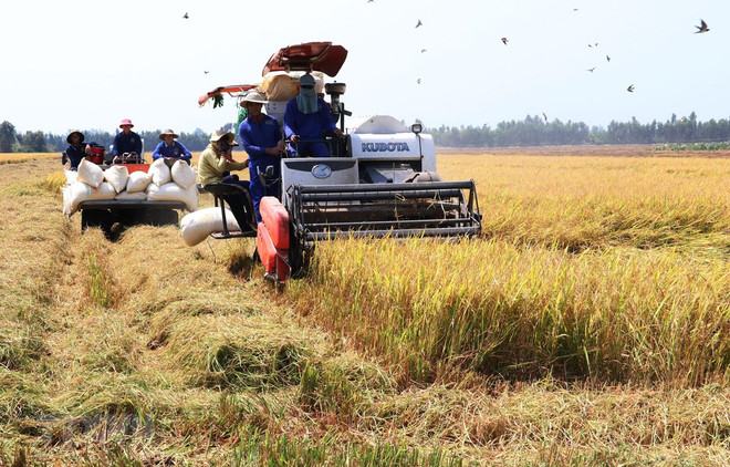 Provincia vietnamita de Bac Giang promueve industrias hacia desarrollo agrícola ảnh 1