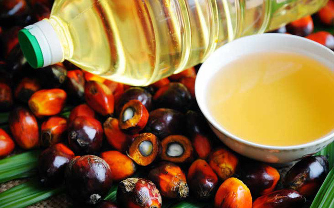 Pronostican disminución de 500 mil de toneladas de aceite de palma de Malasia en 2021 ảnh 1 Pronostican disminución de 500 mil de toneladas de aceite de palma de Malasia en 2021 ảnh 1