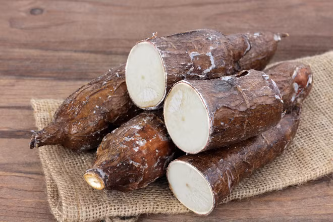 Vietnam exporta dos millones de toneladas de yucas en 10 meses ảnh 1 Vietnam exporta dos millones de toneladas de yucas en 10 meses ảnh 1