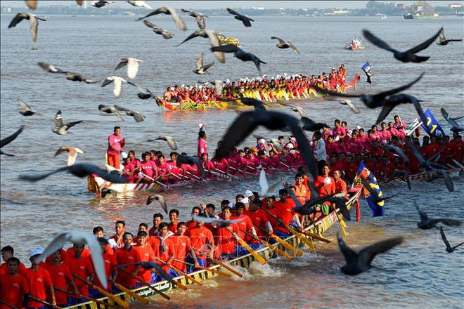 Camboya celebra Festival del Agua con regata de botes ảnh 1 Camboya celebra Festival del Agua con regata de botes ảnh 1