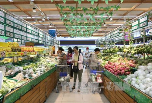 Ciudad Ho Chi Minh reporta descenso de precios en varios grupos básicos en noviembre ảnh 1 Ciudad Ho Chi Minh reporta descenso de precios en varios grupos básicos en noviembre ảnh 1