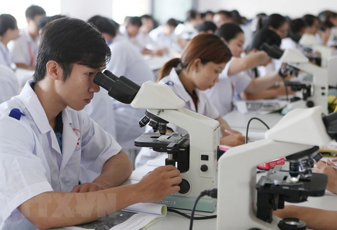 Vietnam y Japón promueven intercambio académico en la medicina ảnh 1