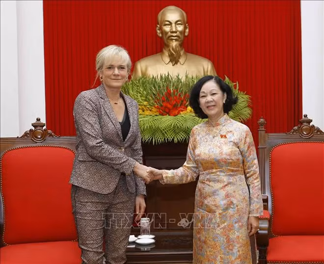Vietnam considera importantes y prioriza nexos con Alemania ảnh 1