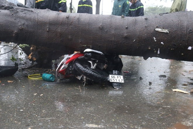 Tifón Usagi azota el Sur de Vietnam y deja un fallecido y grandes pérdidas materiales ảnh 1 Tifón Usagi azota el Sur de Vietnam y deja un fallecido y grandes pérdidas materiales ảnh 1