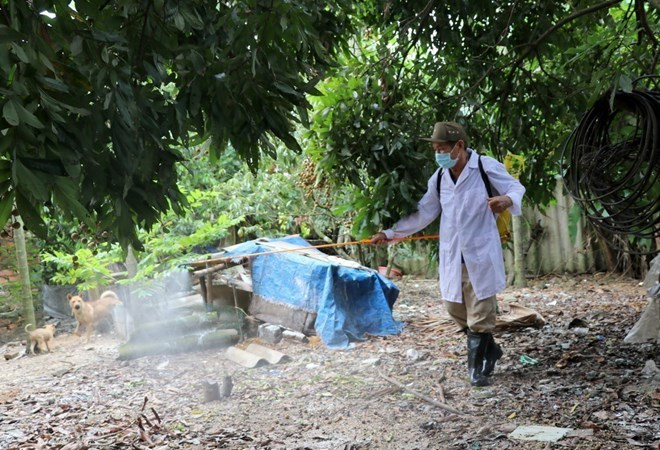 Provincia vietnamita de Phu Yen libre de la gripe aviar tipo H5N6 ảnh 1 Provincia vietnamita de Phu Yen libre de la gripe aviar tipo H5N6 ảnh 1