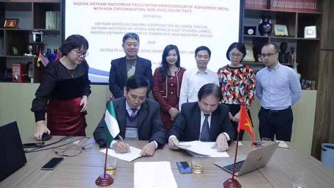 Vietnam intensifica cooperación en desarrollo de ganadería en Nigeria ảnh 1