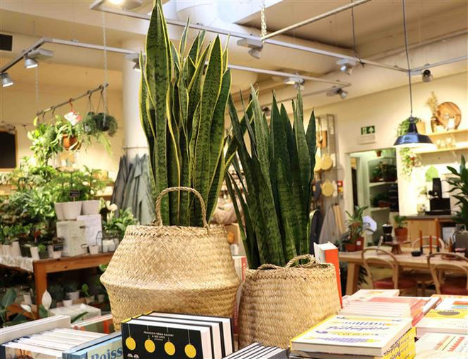 Productos artesanales vietnamitas son populares en mercado belga ảnh 2 Productos artesanales vietnamitas son populares en mercado belga ảnh 2