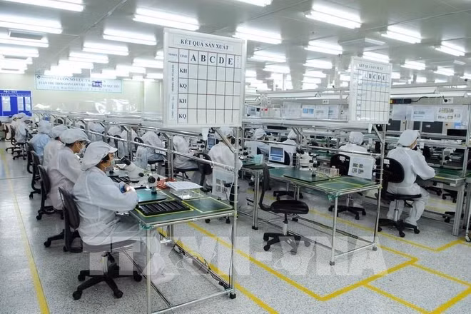 Vietnam y Corea del Sur poseen espacio para promover intercambio comercial ảnh 1