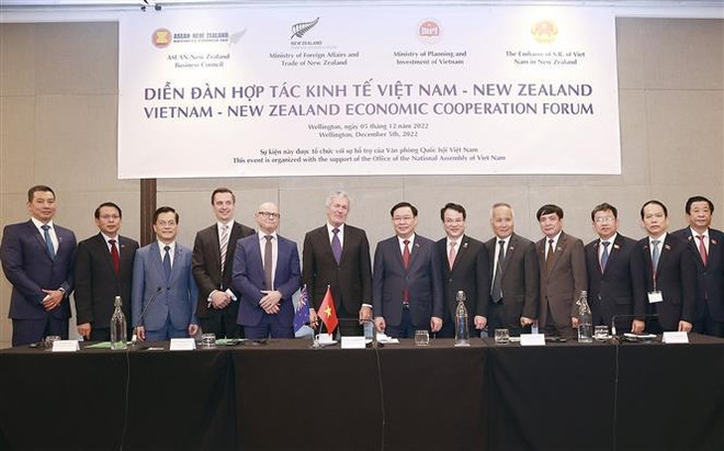 Vietnam y Nueva Zelanda dinamizan cooperación económica ảnh 2