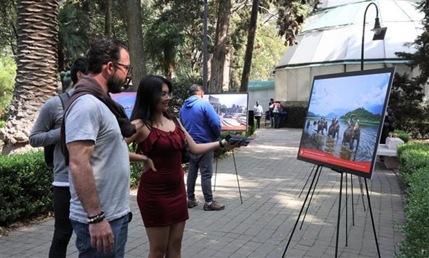 Feria enaltece a cultura vietnamita en México ảnh 3