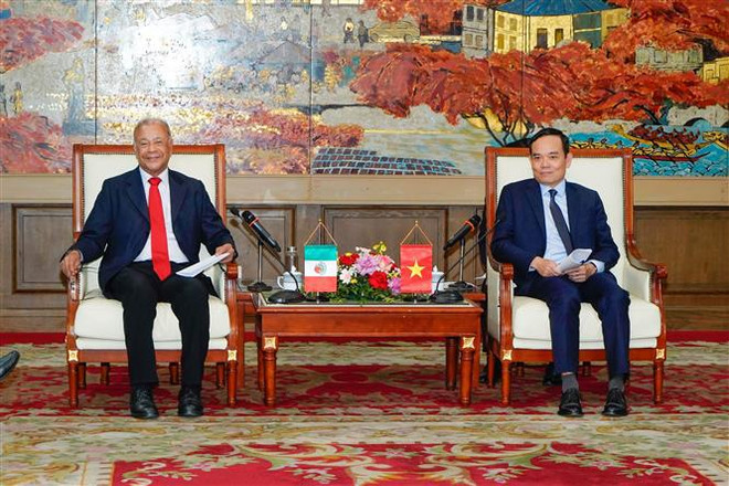 Delegación del Partido del Trabajo de México visita Hai Phong ảnh 1