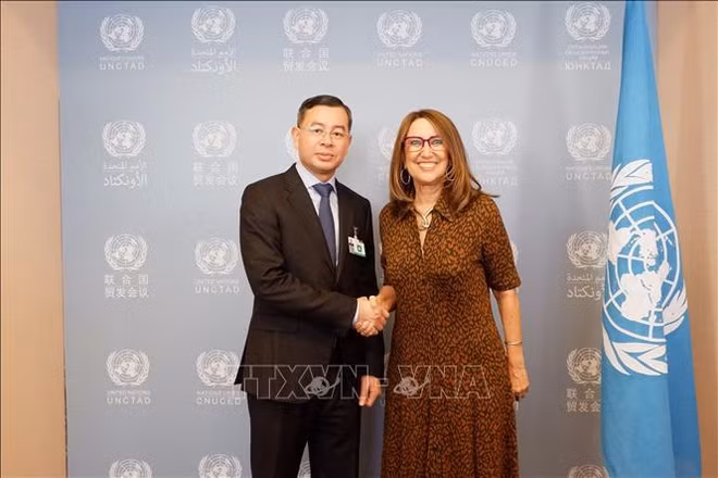 UNCTAD aprecia marco institucional y de políticas de Vietnam ảnh 1