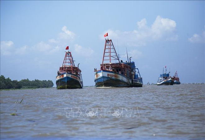 Provincia de Kien Giang se centra en la lucha contra la pesca ilegal ảnh 1 Provincia de Kien Giang se centra en la lucha contra la pesca ilegal ảnh 1