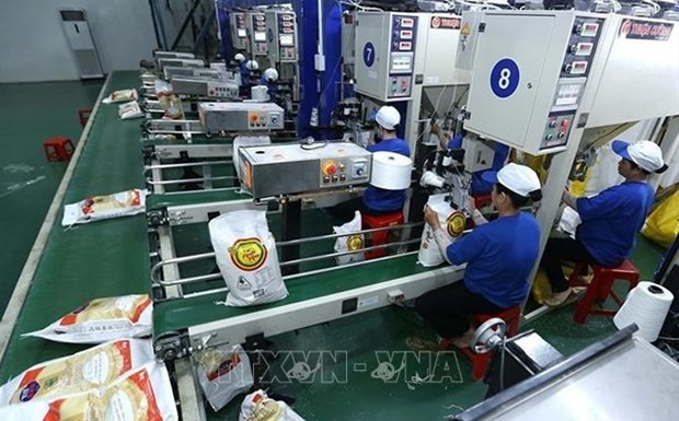 Precio de arroz exportado por Vietnam mantiene costo más alto del mundo ảnh 1 Precio de arroz exportado por Vietnam mantiene costo más alto del mundo ảnh 1