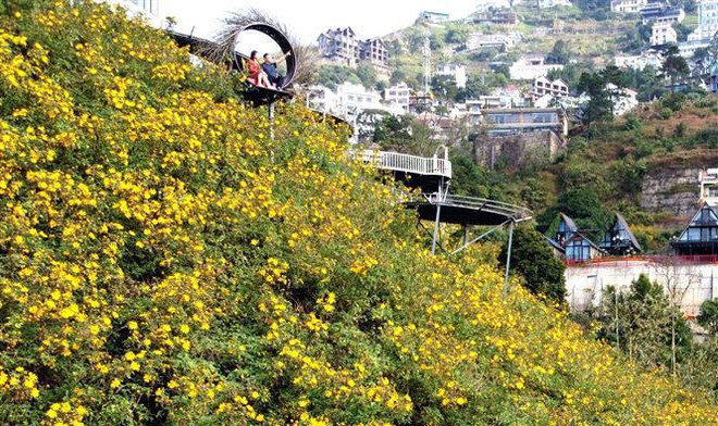 Tam Dao, ciudad turística líder en el mundo 2022 ảnh 2 Tam Dao, ciudad turística líder en el mundo 2022 ảnh 2