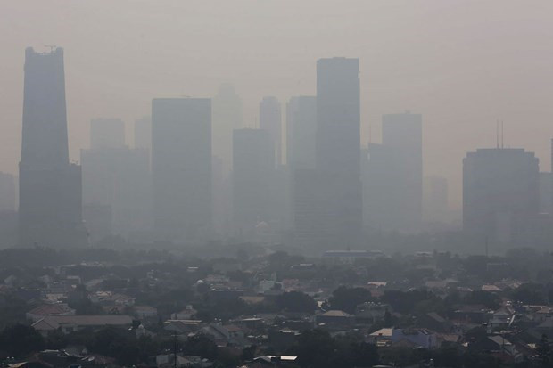 Registra Indonesia cientos de miles de muertos por contaminación ảnh 1 Registra Indonesia cientos de miles de muertos por contaminación ảnh 1