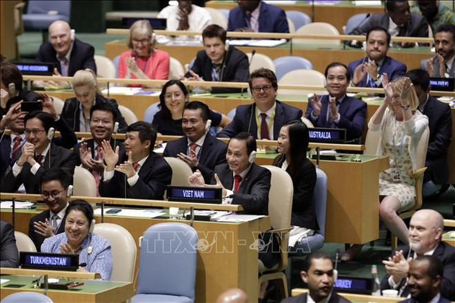 Asunción de presidencia del Consejo de Seguridad de ONU: un desafío para Vietnam ảnh 1 Asunción de presidencia del Consejo de Seguridad de ONU: un desafío para Vietnam ảnh 1