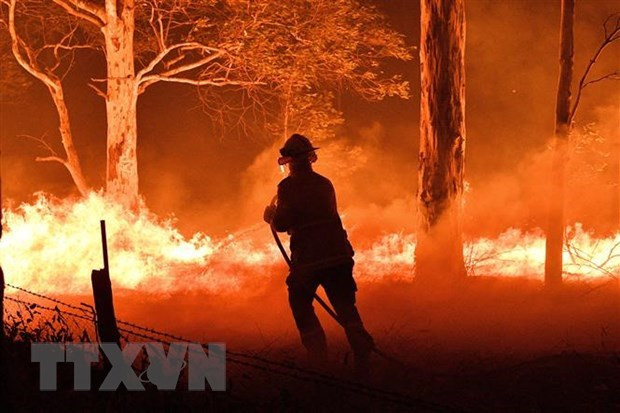 Vietnam envía condolencias a Australia por incendios forestales ảnh 1 Vietnam envía condolencias a Australia por incendios forestales ảnh 1