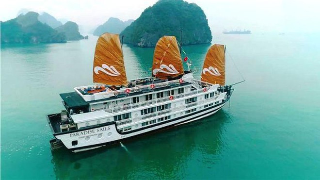 Lanzan crucero Paradise Sails en Bahía de Ha Long ảnh 1 Lanzan crucero Paradise Sails en Bahía de Ha Long ảnh 1