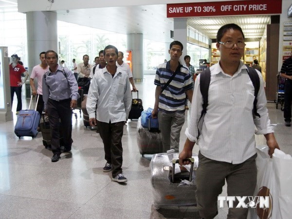 Suspende Vietnam envío de trabajadores a Oriente Medio ảnh 1 Suspende Vietnam envío de trabajadores a Oriente Medio ảnh 1
