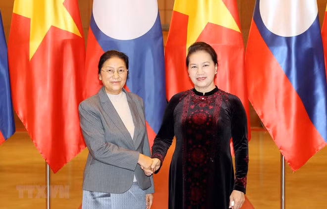 Ratifica Laos apoyo a Vietnam en cargo de presidente de ASEAN ảnh 1