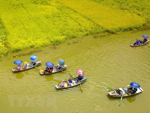 Proyecta Vietnam atraer a 20,5 millones de turistas extranjeros en 2020 ảnh 1