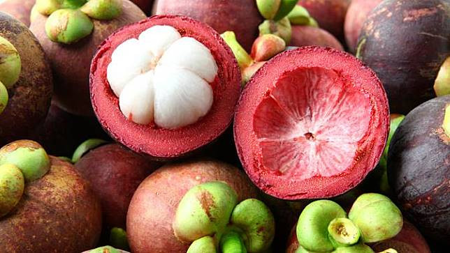 Fortalece Indonesia exportaciones de mangostán de Bali ảnh 1 Fortalece Indonesia exportaciones de mangostán de Bali ảnh 1