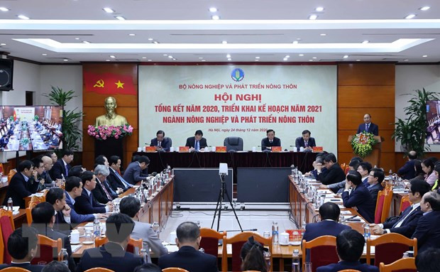 Sector agrícola de Vietnam aspira a 44 mil millones de USD por exportaciones en 2021 ảnh 2 Sector agrícola de Vietnam aspira a 44 mil millones de USD por exportaciones en 2021 ảnh 2