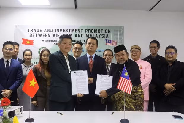 Impulsan Vietnam y Malasia cooperación empresarial ảnh 1