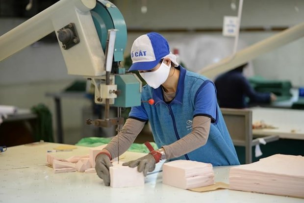 Sector textil de Vietnam espera un ingreso de 38 mil millones de dólares por exportaciones ảnh 1 Sector textil de Vietnam espera un ingreso de 38 mil millones de dólares por exportaciones ảnh 1