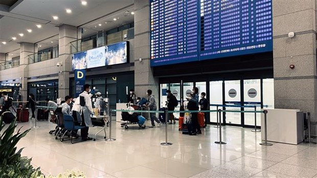 Continúan repatriación de ciudadanos vietnamitas en medio de pandemia ảnh 1 Continúan repatriación de ciudadanos vietnamitas en medio de pandemia ảnh 1