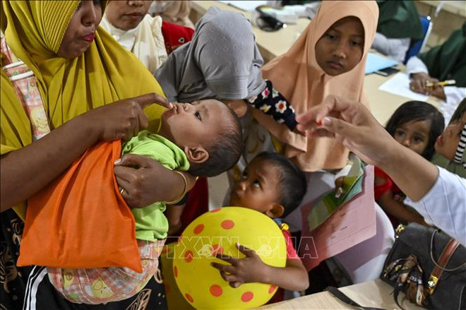 Indonesia se propone reducir retraso del crecimiento infantil ảnh 1 Indonesia se propone reducir retraso del crecimiento infantil ảnh 1