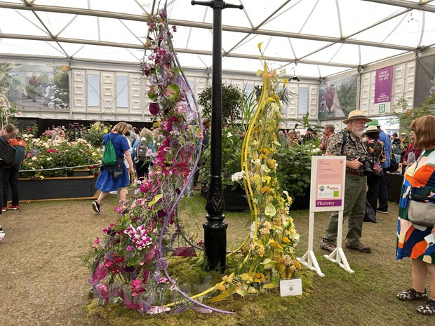 Vietnam gana premio por primera vez en Exhibición Floral de Chelsea 2023 ảnh 1 Vietnam gana premio por primera vez en Exhibición Floral de Chelsea 2023 ảnh 1
