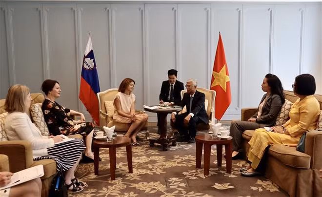 Ciudad Ho Chi Minh desea cooperar con Eslovenia en varios campos ảnh 2