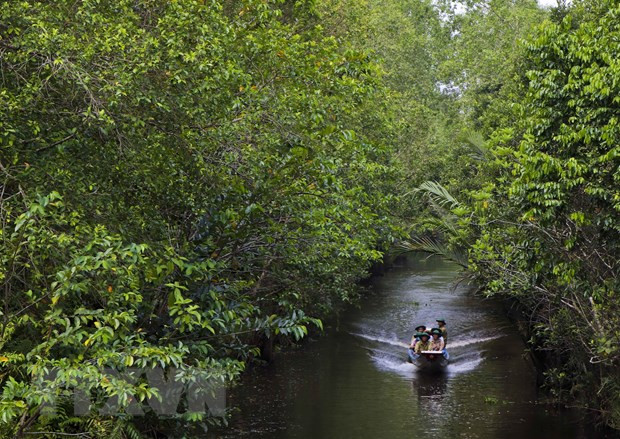 Reserva natural en Delta del Mekong aprovecha potencial del ecoturismo ảnh 1