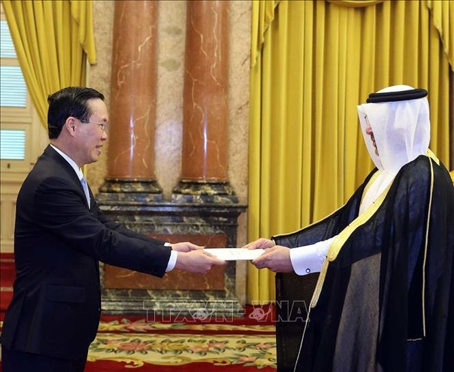 Presidente de Vietnam recibe credenciales de nuevos embajadores ảnh 1 Presidente de Vietnam recibe credenciales de nuevos embajadores ảnh 1