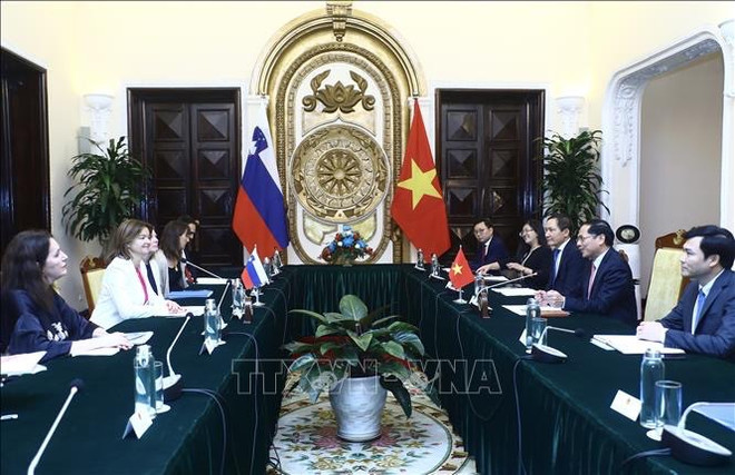 Vietnam aspira a fortalecer cooperación multifacética con Eslovenia ảnh 2 Vietnam aspira a fortalecer cooperación multifacética con Eslovenia ảnh 2
