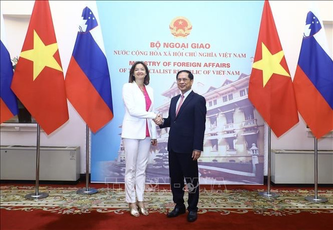 Vietnam aspira a fortalecer cooperación multifacética con Eslovenia ảnh 1 Vietnam aspira a fortalecer cooperación multifacética con Eslovenia ảnh 1