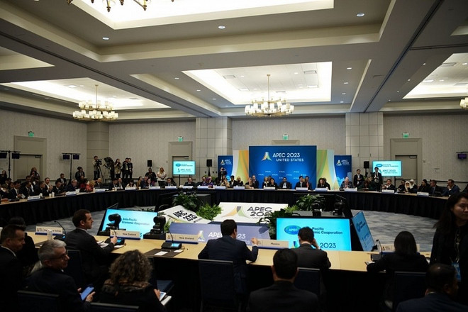 Vietnam participa en reunión de ministros de comercio de APEC ảnh 1