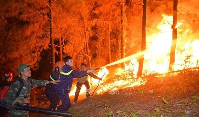 Premier exhorta a adoptar medidas preventivas contra incendios forestales ảnh 1 Premier exhorta a adoptar medidas preventivas contra incendios forestales ảnh 1