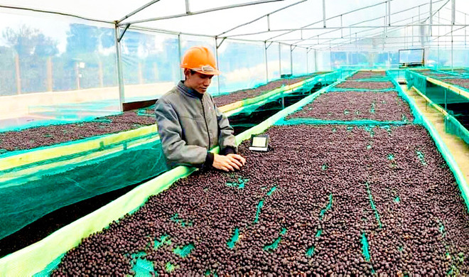 Gran oportunidad para exportación vietnamita a Israel ảnh 1