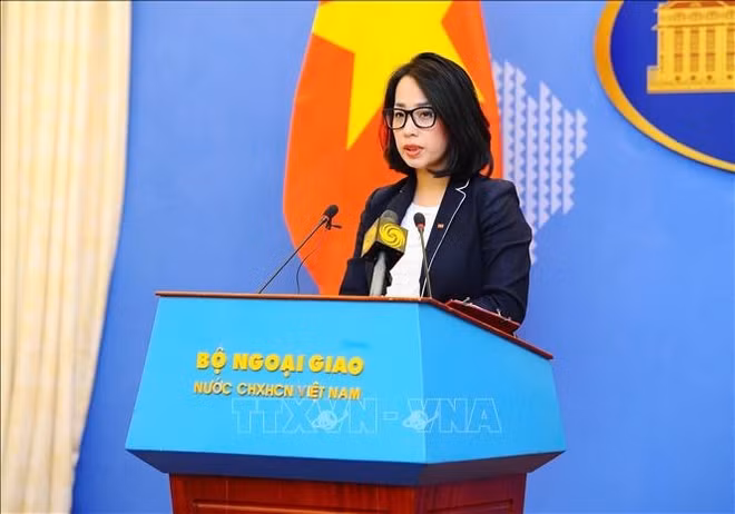 Exigen a China retirar barcos de las aguas vietnamitas ảnh 1