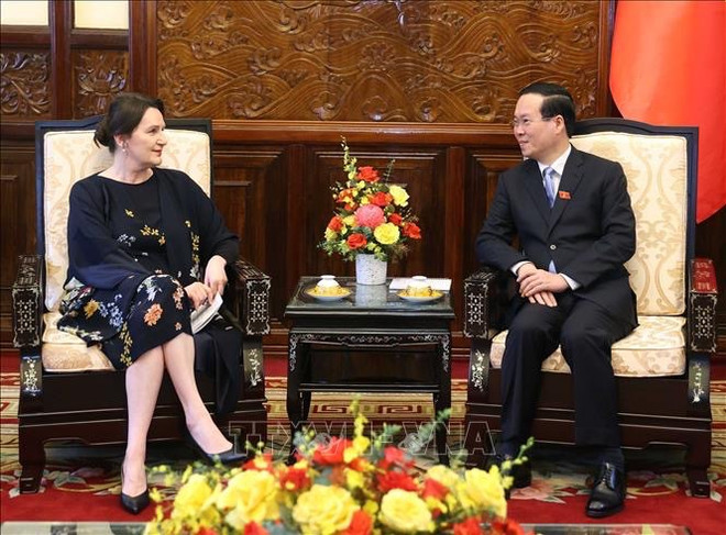 Presidente de Vietnam recibe credenciales de nuevos embajadores ảnh 3 Presidente de Vietnam recibe credenciales de nuevos embajadores ảnh 3