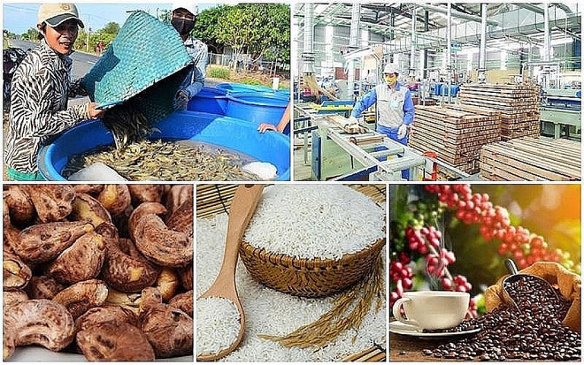 Disminuyen exportaciones de productos agroforestales y acuícolas de Vietnam ảnh 1  Disminuyen exportaciones de productos agroforestales y acuícolas de Vietnam ảnh 1