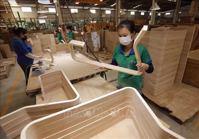 Exportación de madera de provincia de Binh Duong se reduce 38,5 por ciento ảnh 1