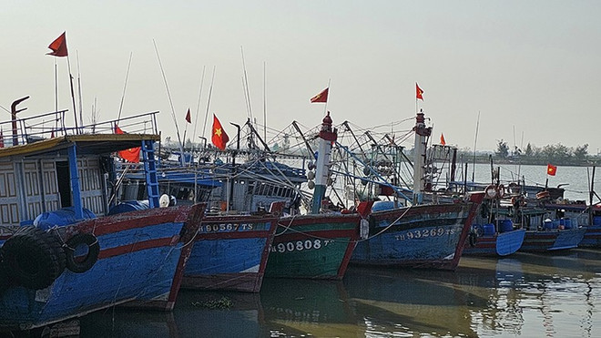 Vietnam por elevar conciencia sobre desarrollo sostenible de pesca ảnh 1 Vietnam por elevar conciencia sobre desarrollo sostenible de pesca ảnh 1