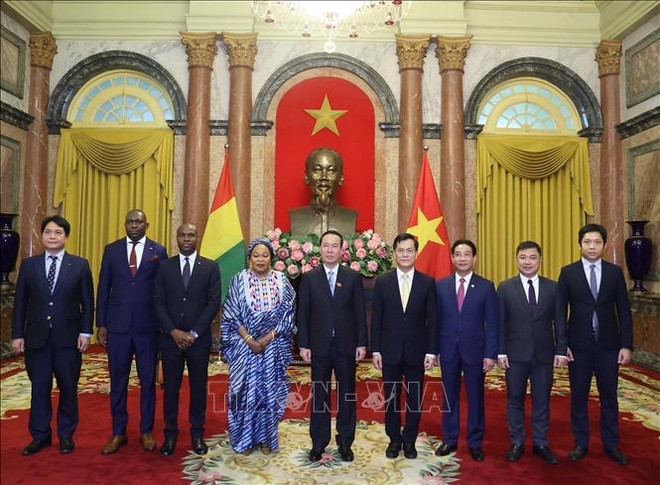 Presidente de Vietnam recibe credenciales de nuevos embajadores ảnh 6 Presidente de Vietnam recibe credenciales de nuevos embajadores ảnh 6