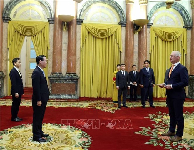 Presidente de Vietnam recibe credenciales de nuevos embajadores ảnh 5 Presidente de Vietnam recibe credenciales de nuevos embajadores ảnh 5
