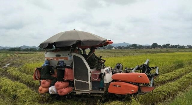 Exportaciones de arroz en el segundo trimestre mantendrán impulso de crecimiento positivo ảnh 1 Exportaciones de arroz en el segundo trimestre mantendrán impulso de crecimiento positivo ảnh 1