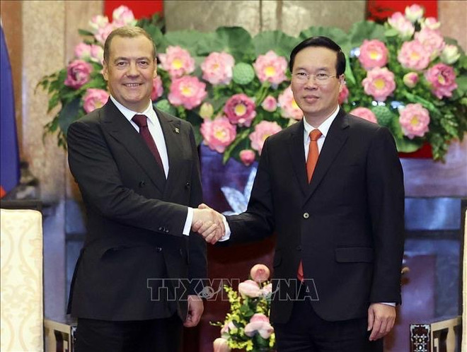 Presidente vietnamita recibe a dirigente partidista ruso ảnh 1 Presidente vietnamita recibe a dirigente partidista ruso ảnh 1